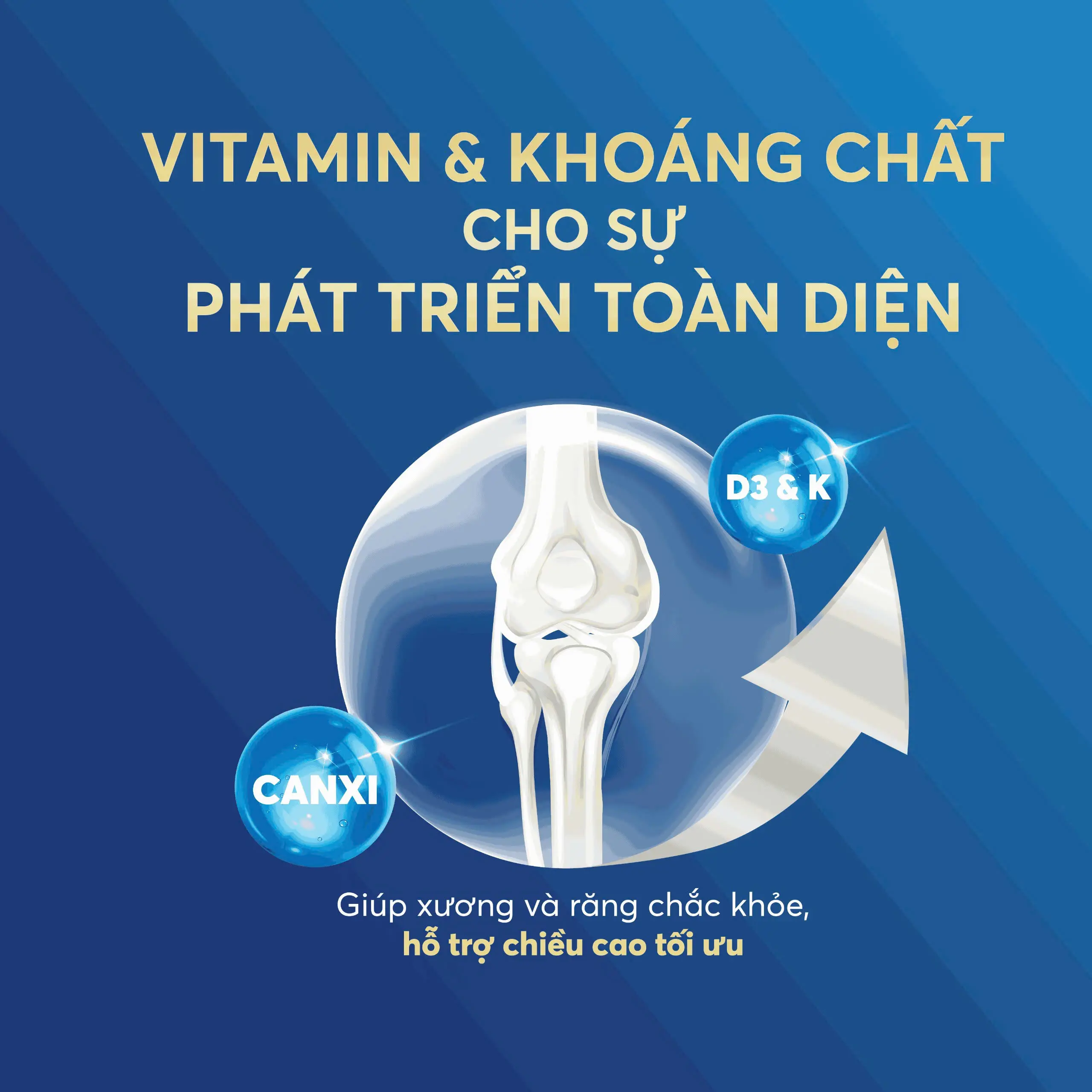 Sữa Alphagen Pháp được thiết kế với công thức giàu vi chất thiết yếu, tạo nền tảng để bé phát triển toàn diện.